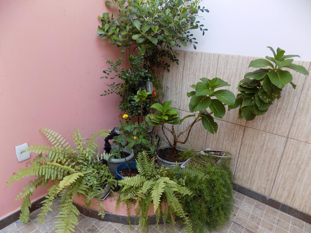 Albergue Rio Vermelho Salvador Bagian luar foto